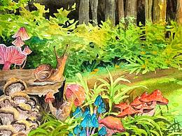 绘本试稿 手绘水彩