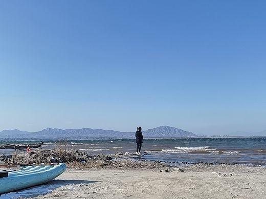 孤独的水边扮海鸥