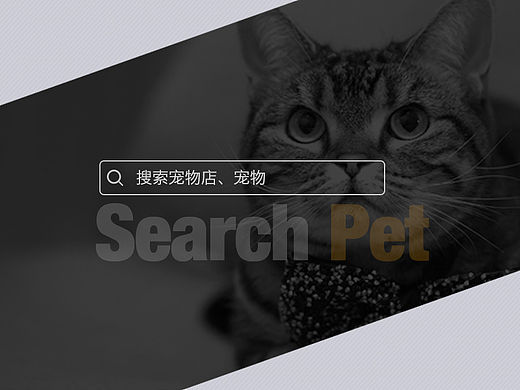 寵物APP界面。瀑布流。（個人主頁-ZMTQzOTc3MTY=） - APP界面 - 站酷設(shè)計師夏一百原創(chuàng)素材 - 站酷ZCOOL