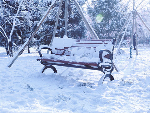 17 12 31 清晨的阳光