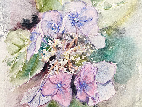 水彩花卉（个人主页-ZMjk3MDU0NDg=） - 商业插画 - 站酷设计师沉默的包几原创素材 - 站酷ZCOOL