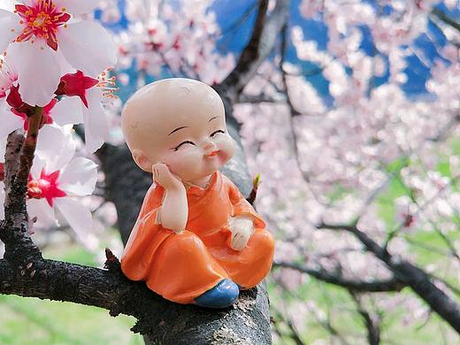 林芝桃花伴随你