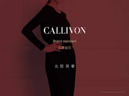 一套服装LOGO的VI