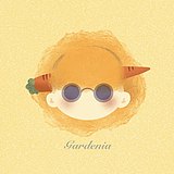 Gardenia栀子的头像