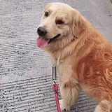 吃饭睡觉打豆豆O的头像