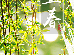 补立春海报