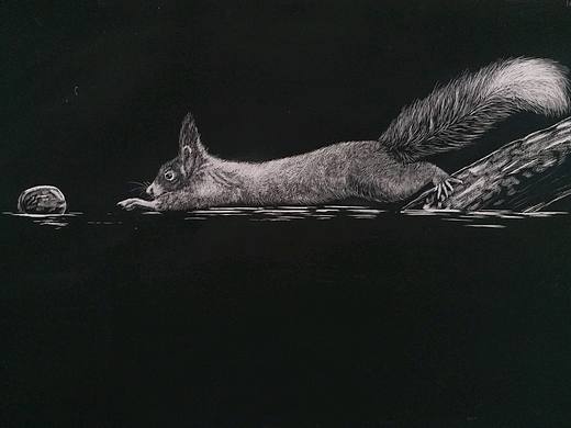 刮画《松鼠》