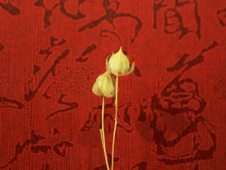 迷一样的灵感（个人主页-ZNjc4MDc3Mg==） - 产品摄影 - 站酷设计师大梵梵原创素材 - 站酷ZCOOL