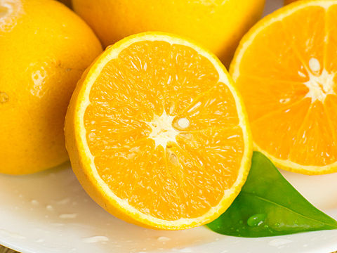 夏天的橙子（個人主頁-ZMjgzNjg2NDQ=） - 產(chǎn)品攝影 - 站酷設計師荊叫喚原創(chuàng)素材 - 站酷ZCOOL