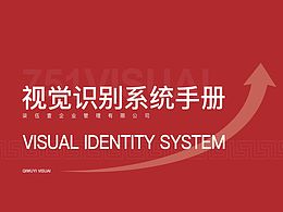 VIS视觉识别系统手册