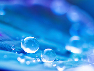 水珠