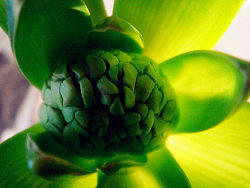 點(diǎn)亮那一抹璀璨的年華