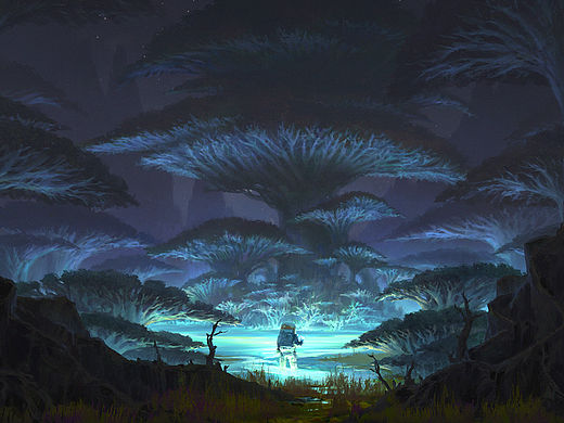 阶段作品合集