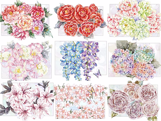 花卉插画合集