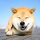 _余小鱼的头像