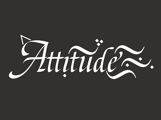 Attitude