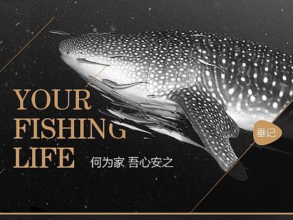 垂钓渔具品牌vi设计-双文