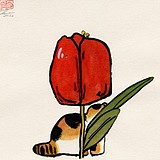 红花HONGHUA的头像