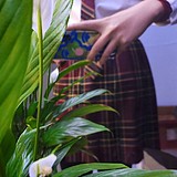 小腹八块肌的头像