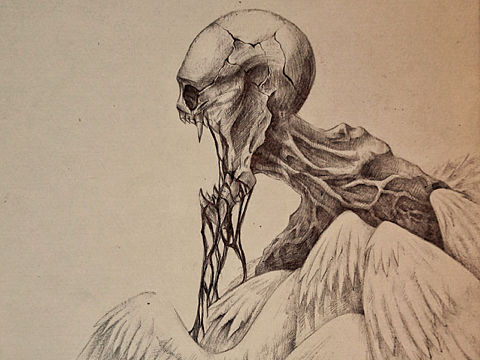 插画(临摹)
