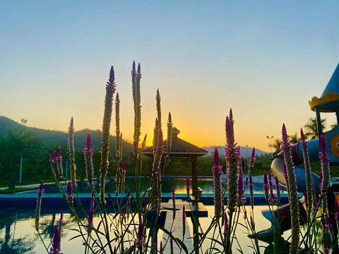 夕阳下的游泳池