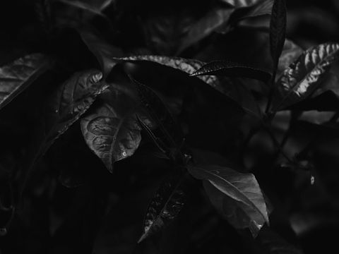 四月结（个人主页-ZMjc2NDU3NjQ=） - 风光摄影 - 站酷设计师Simy_原创素材 - 站酷ZCOOL