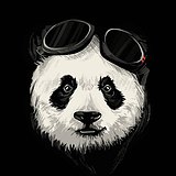 roosea的头像