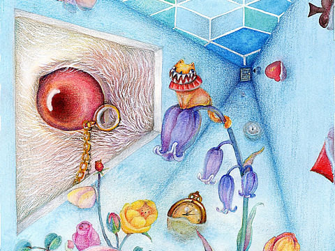 爱丽丝梦游仙境