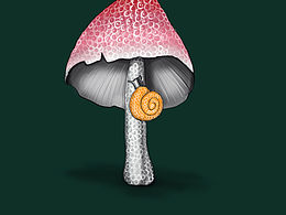 小蘑菇和小蝸牛