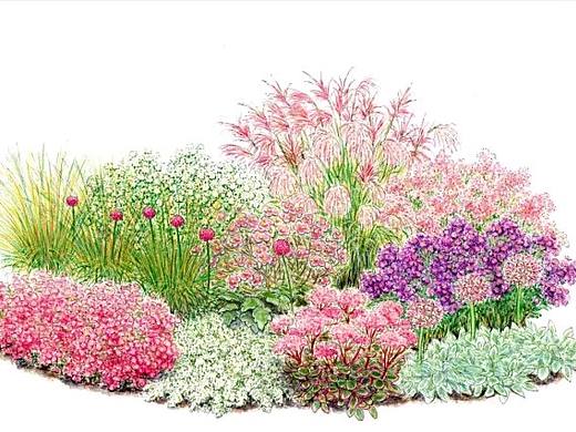 SOFT GARDEN 瑞吉欧学校的植物设计