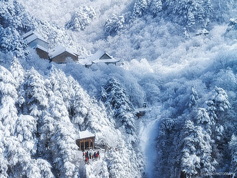 黄山，黄山