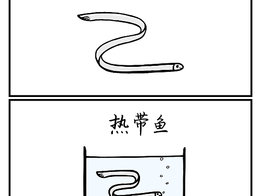 带鱼变热带鱼