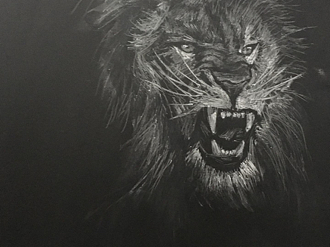 黑板粉笔画狮子王