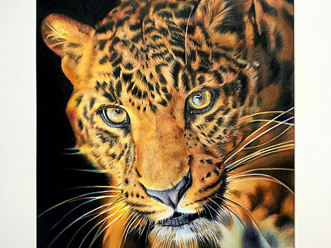 彩铅画动物，豹，新课案例