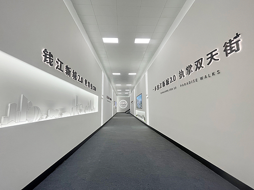 龙湖（宸颂轩）看房通道