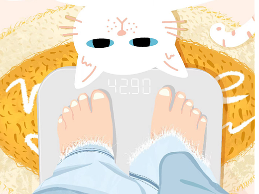 插画  |  扁平
