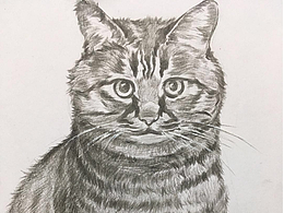 永不過時的從容