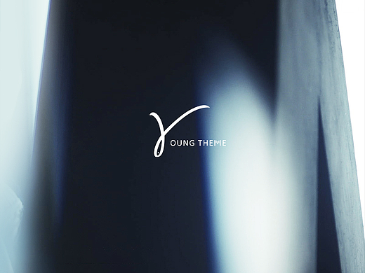 young theme深海鱼胶原蛋白产品包装设计简易版&精装版