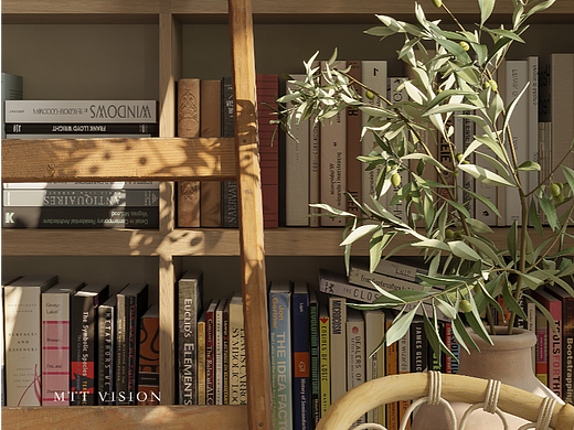 MTT视觉——私宅表现