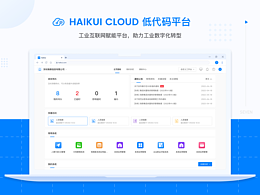B端产品-HAIKUI CLOUD 低代码平台