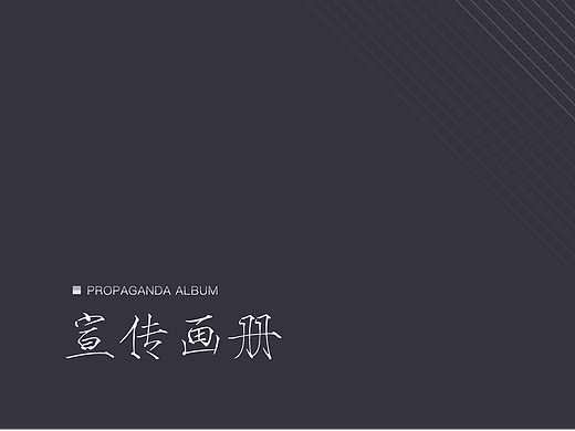 新视野宣传手册