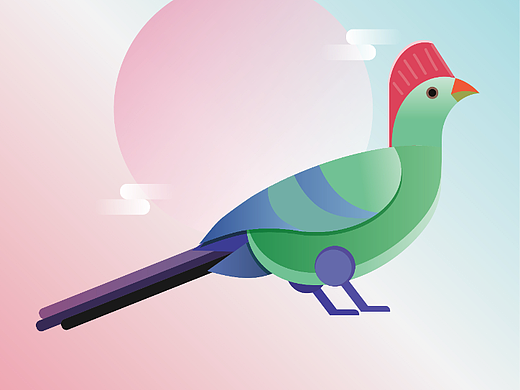 鳥類海報（個人主頁-ZNjczODM5NDg=） - 商業(yè)插畫 - 站酷設(shè)計師燈七原創(chuàng)素材 - 站酷ZCOOL