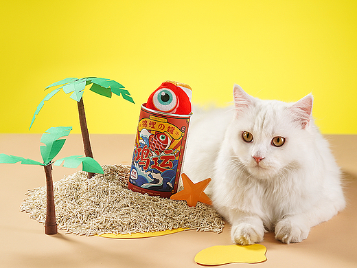 宠物用品拍摄|宠有引力|引力跳跳鱼