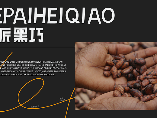 乐派黑巧  LE PAI HEI QIAO