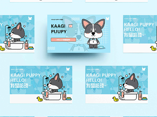 帕奇家族IP提案