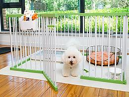 宠物围栏 2023年8月拍摄