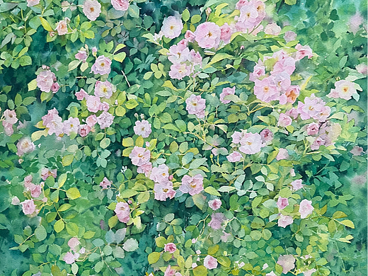 水彩花卉