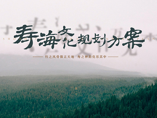 梁平寿海景区规划设计