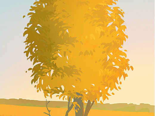 【色彩之旅-14】树木