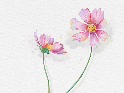 近期水彩小插画